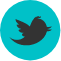 contact-socialMedia-icon
